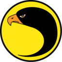 Blackhawk embleme stylized