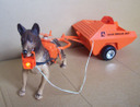 Duke the Rescue Dog