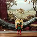 Hawkman at Brazosport Museum Of Natural Science