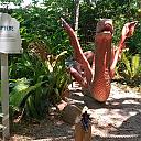 TXU Energy Presents Dragons at the Houston Zoo 17 Amphiptere