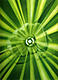 Hal_Jordan