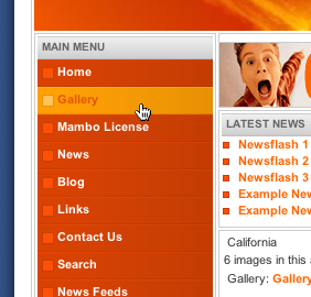 Embedding Gallery